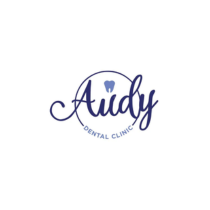 PT Audy Mandiri Indonesia