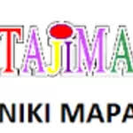 Niki Mapan Company Logo Niki Mapan Logo