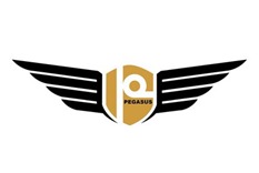 PT Pegasus Prima Sakti Logo